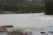 16 - Athabasca Falls - IMG_1075